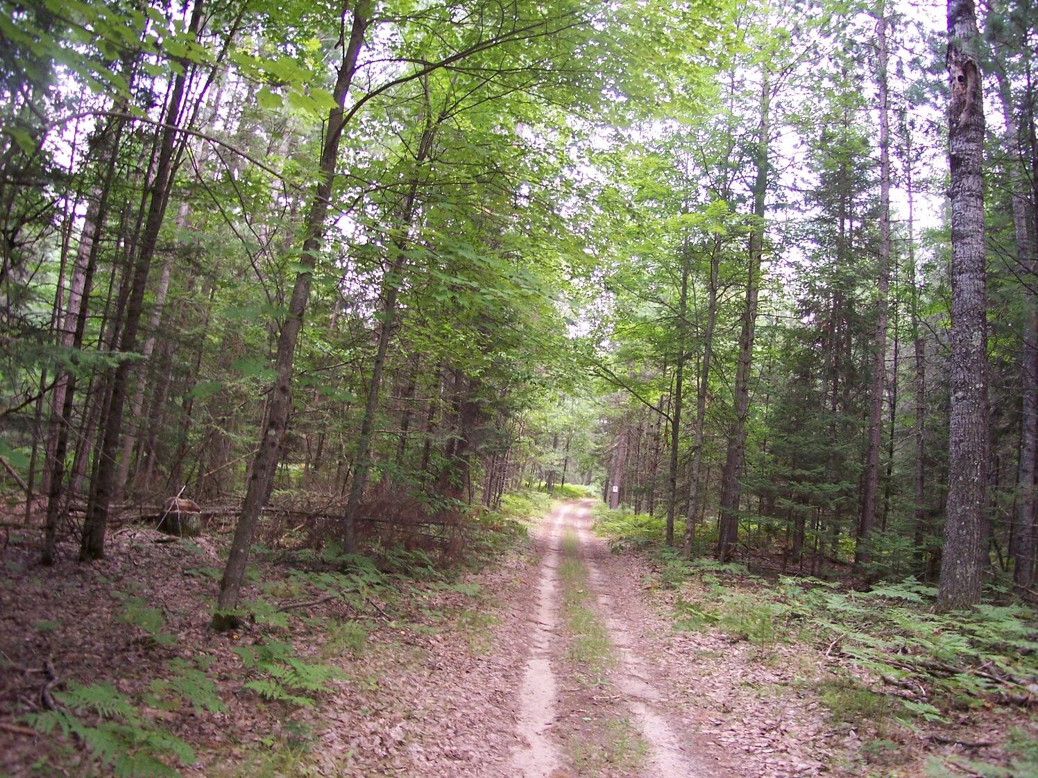 840 North Red Oak Road Lewiston, MI 49756 - Photo 47 of 79 Gallery Image 47