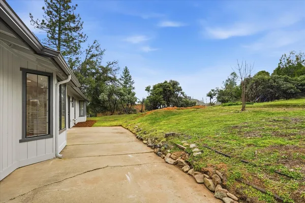 a view of a yard with plants