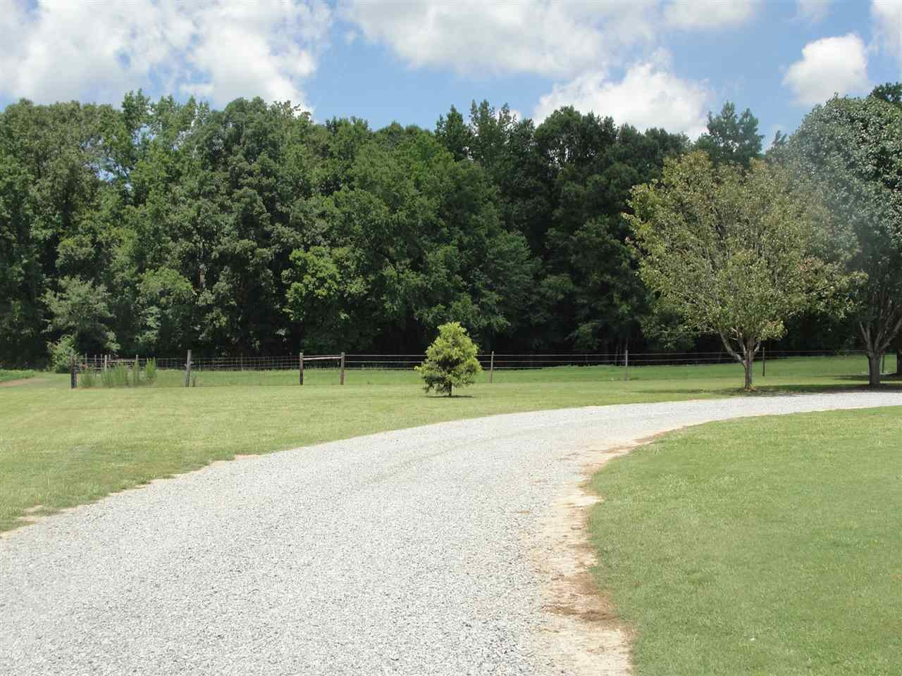 1810 Bay Valley Road Kenly, NC 27542 - Photo 3 of 24 Photo 3