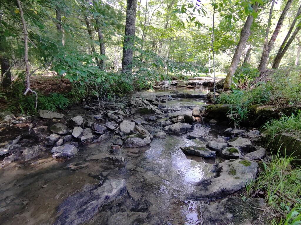 68 Rhododendron Drive Jumping Branch, WV 25969 - Photo 8 of 26 Gallery Image 8