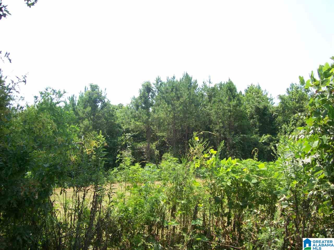 Francis Mill Road Ohatchee, AL 36271 - Photo 5 of 9