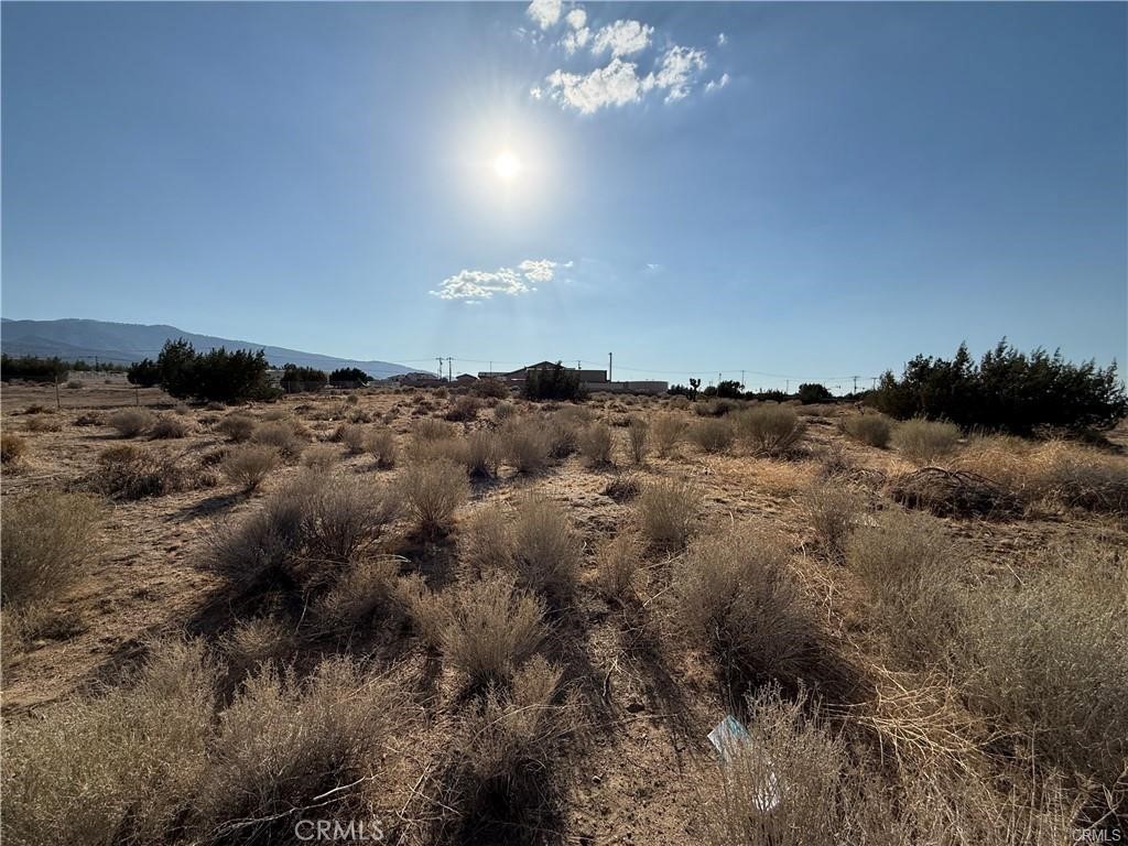 9610 Mescalero Road Phelan, CA 92371 - Photo 2 of 2 a view of a yard
