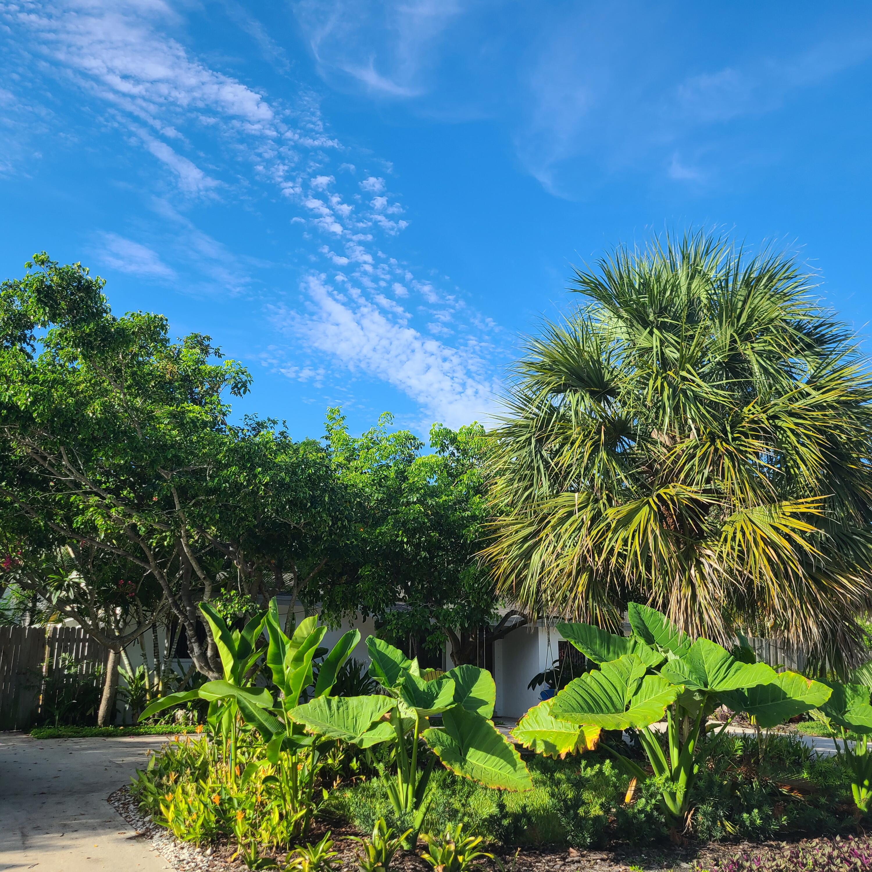 170 Northwest 7th Street Boca Raton, FL 33432 - Photo 27 of 66 lush landscaping