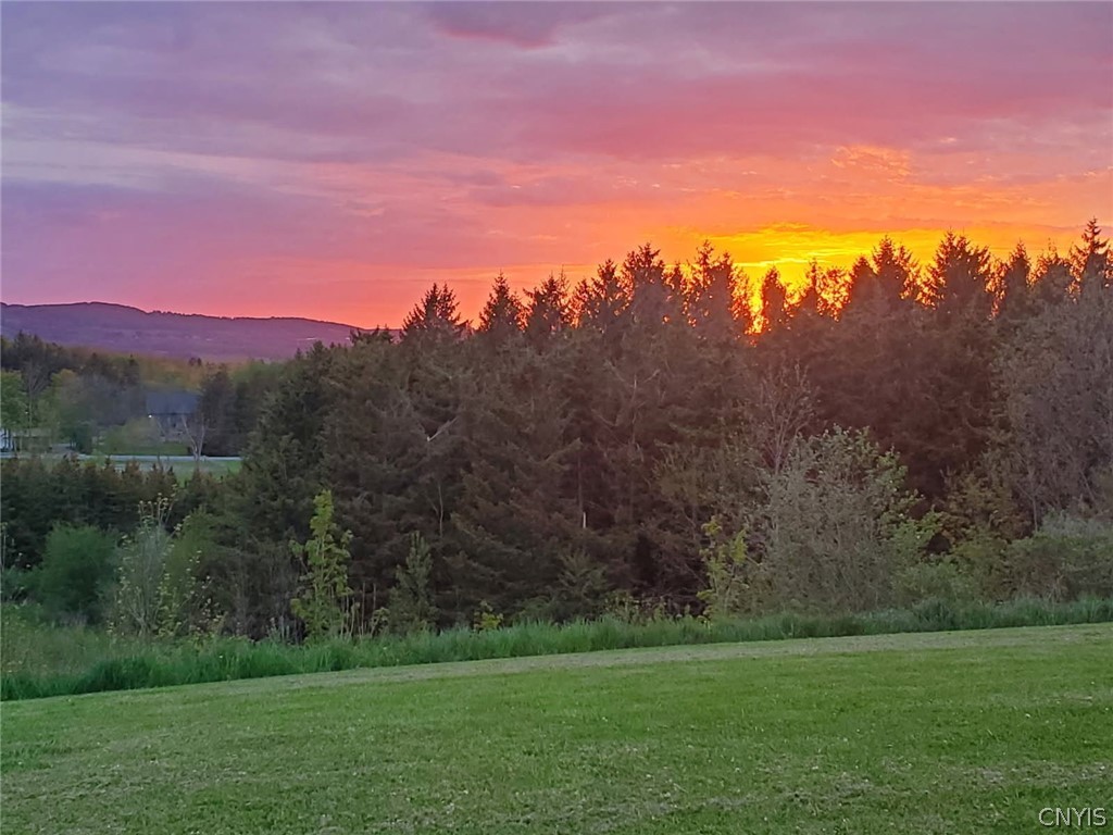 119 Cobane Road Sauquoit, NY 13456 - Photo 49 of 50