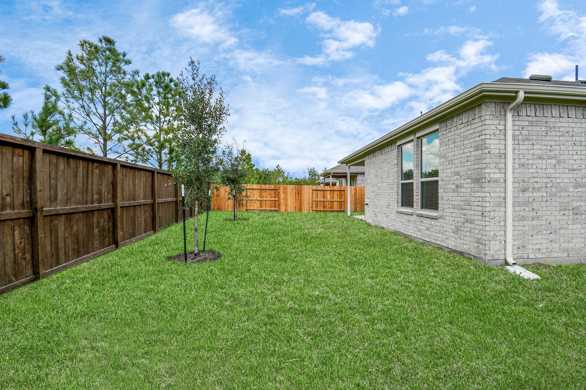 16150 Elbridge Court Conroe, TX 77302 - Photo 27 of 46 NO Back Neighbors is a plus!
