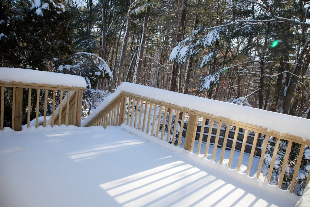 29 Emily Road Framingham, MA 01701 - Photo 7 of 20 Gallery Image 7
