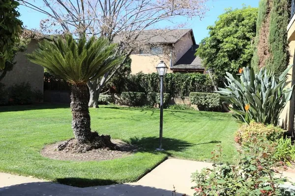 a view of a garden with a tree
