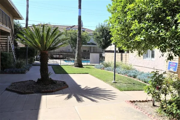a view of a backyard with plants