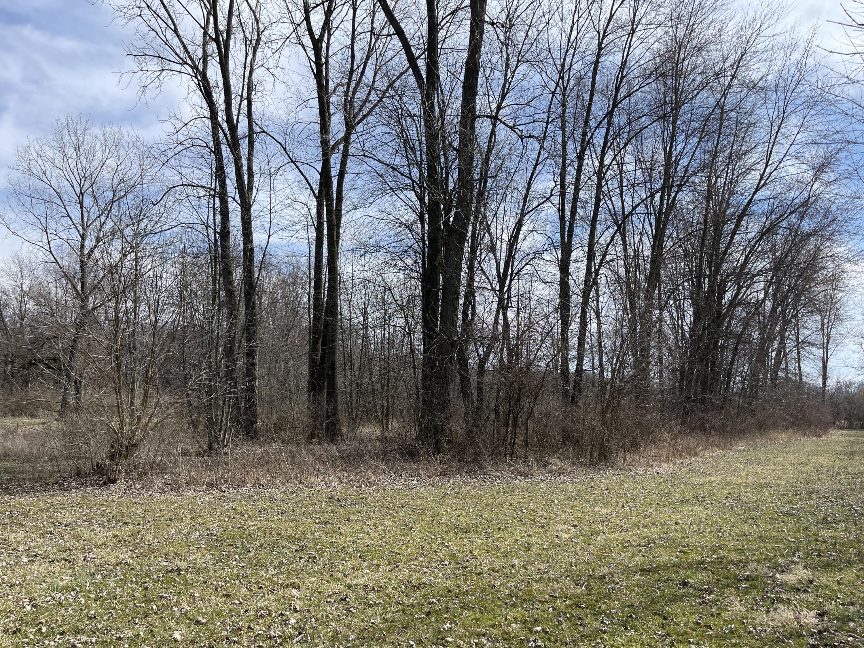 4769 Selma Pike Springfield, OH 45502 - Photo 70 of 93