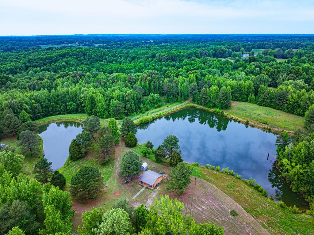 Expansive natural landscape featuring two tranquil ponds surrounded by lush green foliage and mature trees