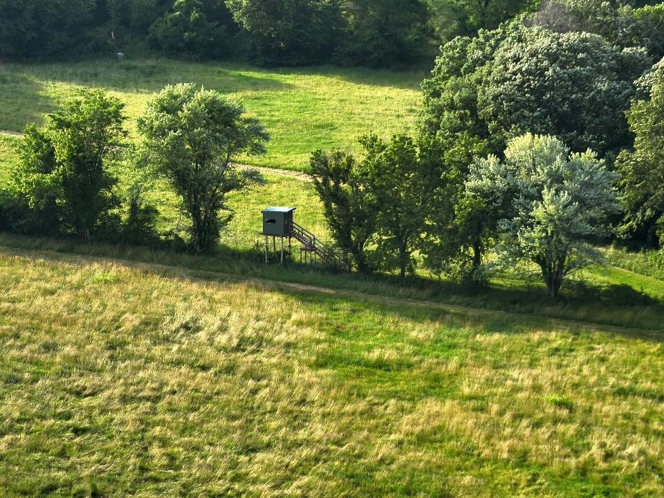 28 Northwest 1501st Road Holden, MO 64040 - Photo 7 of 84