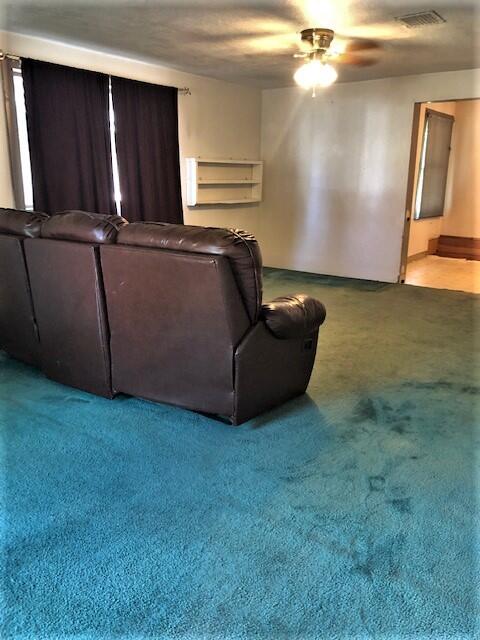 736 South Mill Street Reed City, MI 49677 - Photo 6 of 16 IMG_1611