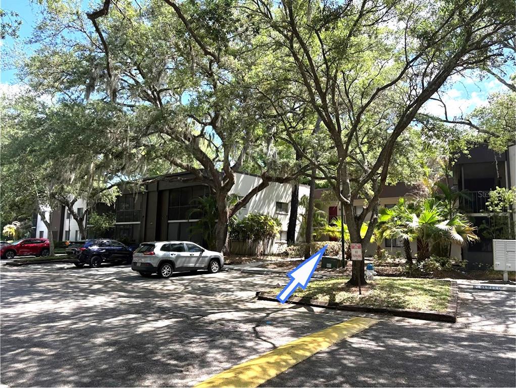 11715 Raintree Village Boulevard, Unit A Temple Terrace, FL 33617 - Photo 22 of 30 a view of street with parked cars