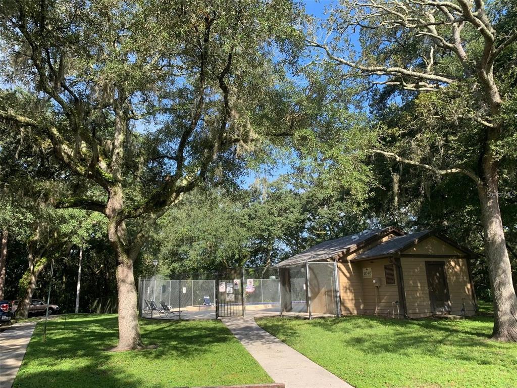 11715 Raintree Village Boulevard, Unit A Temple Terrace, FL 33617 - Photo 24 of 30 a view of a yard with plants and large trees