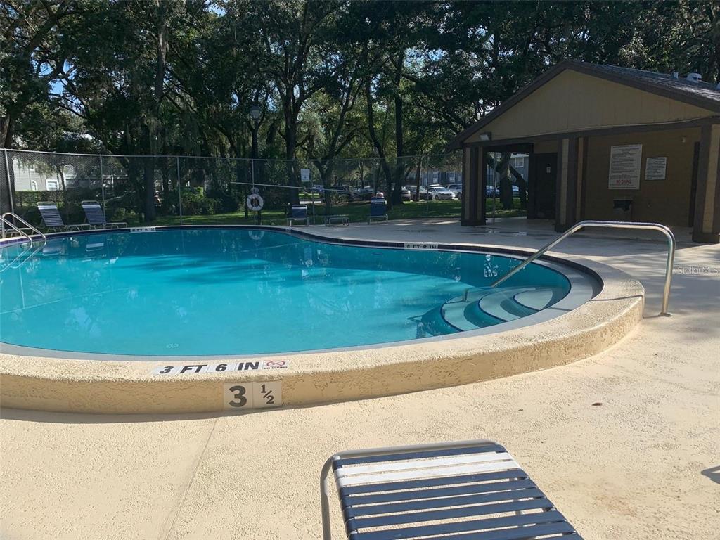 11715 Raintree Village Boulevard, Unit A Temple Terrace, FL 33617 - Photo 25 of 30 a view of swimming pool with lawn chairs and plants