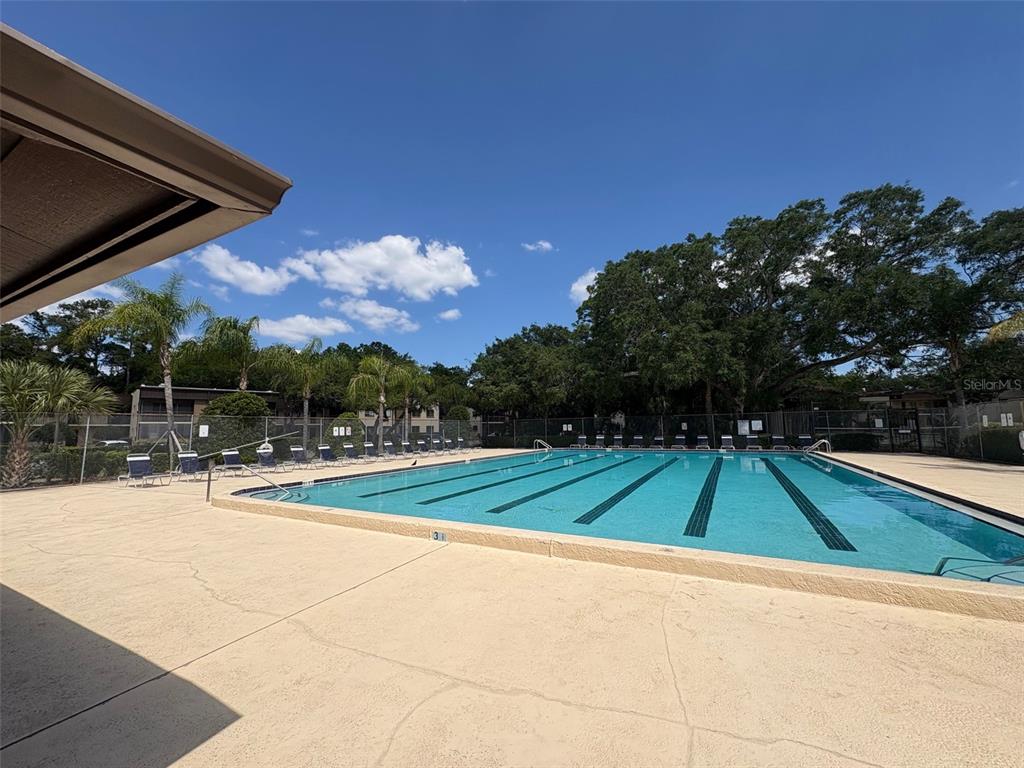 11715 Raintree Village Boulevard, Unit A Temple Terrace, FL 33617 - Photo 26 of 30 a view of a backyard
