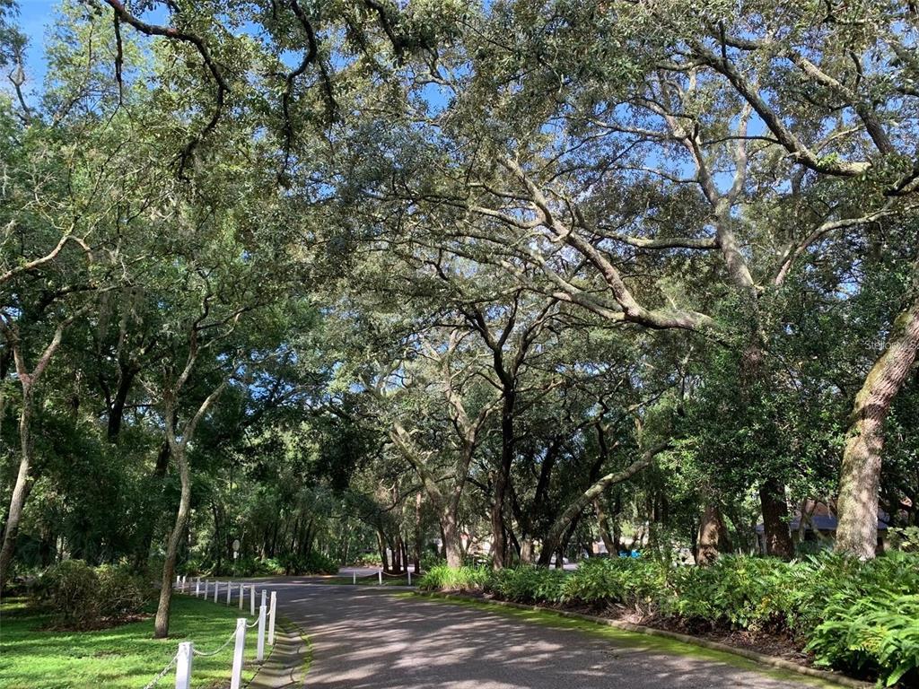11715 Raintree Village Boulevard, Unit A Temple Terrace, FL 33617 - Photo 27 of 30 a view of a park