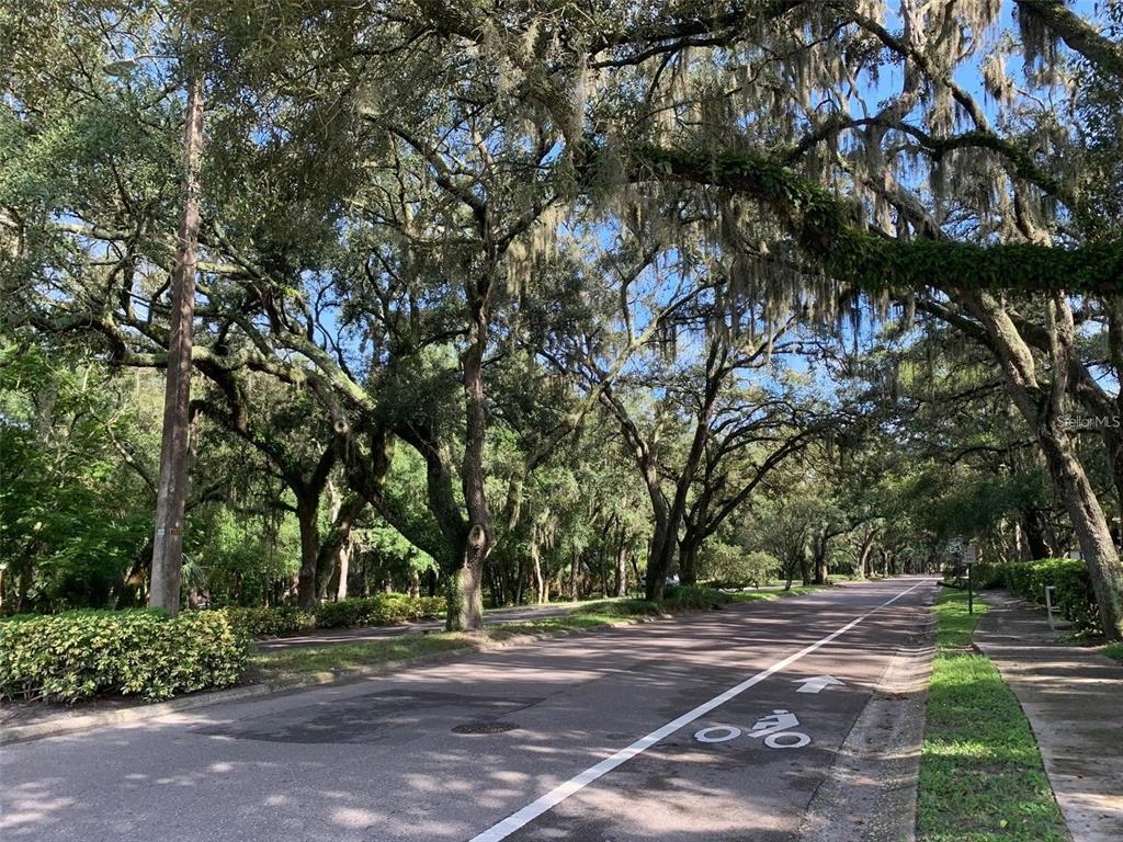 11715 Raintree Village Boulevard, Unit A Temple Terrace, FL 33617 - Photo 29 of 30