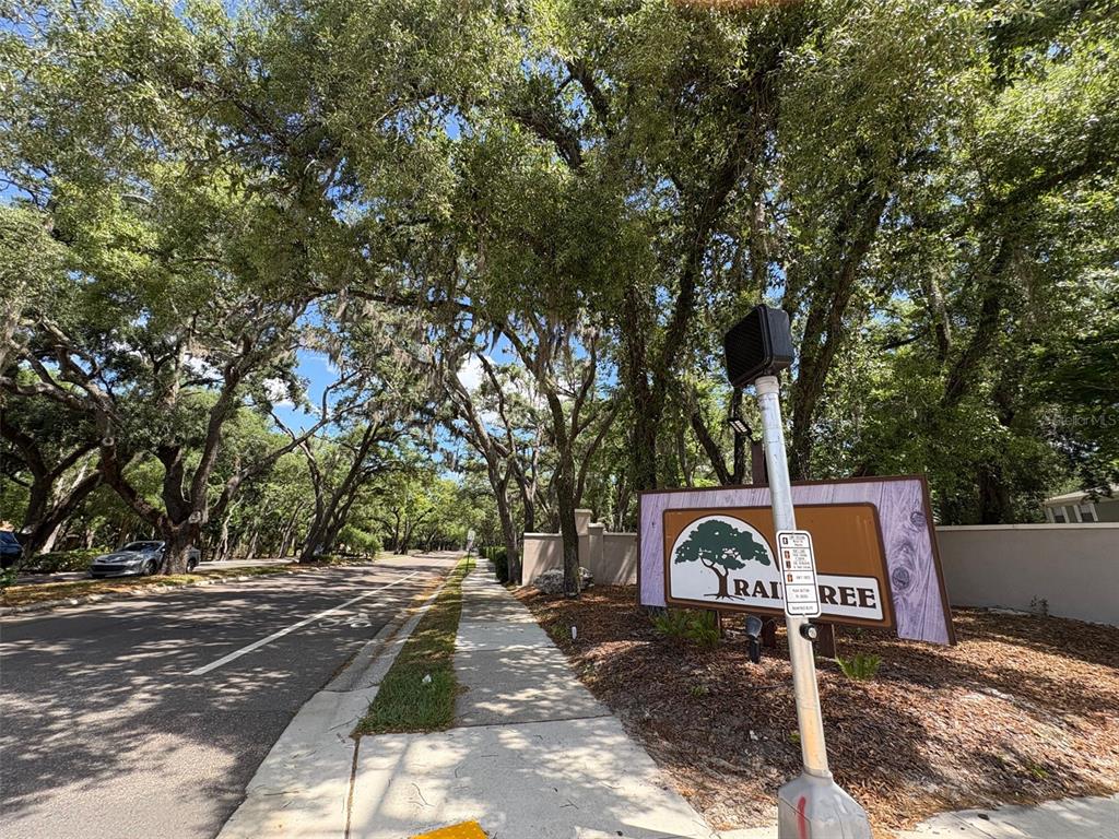 11715 Raintree Village Boulevard, Unit A Temple Terrace, FL 33617 - Photo 30 of 30 a view of a wooden house with a yard