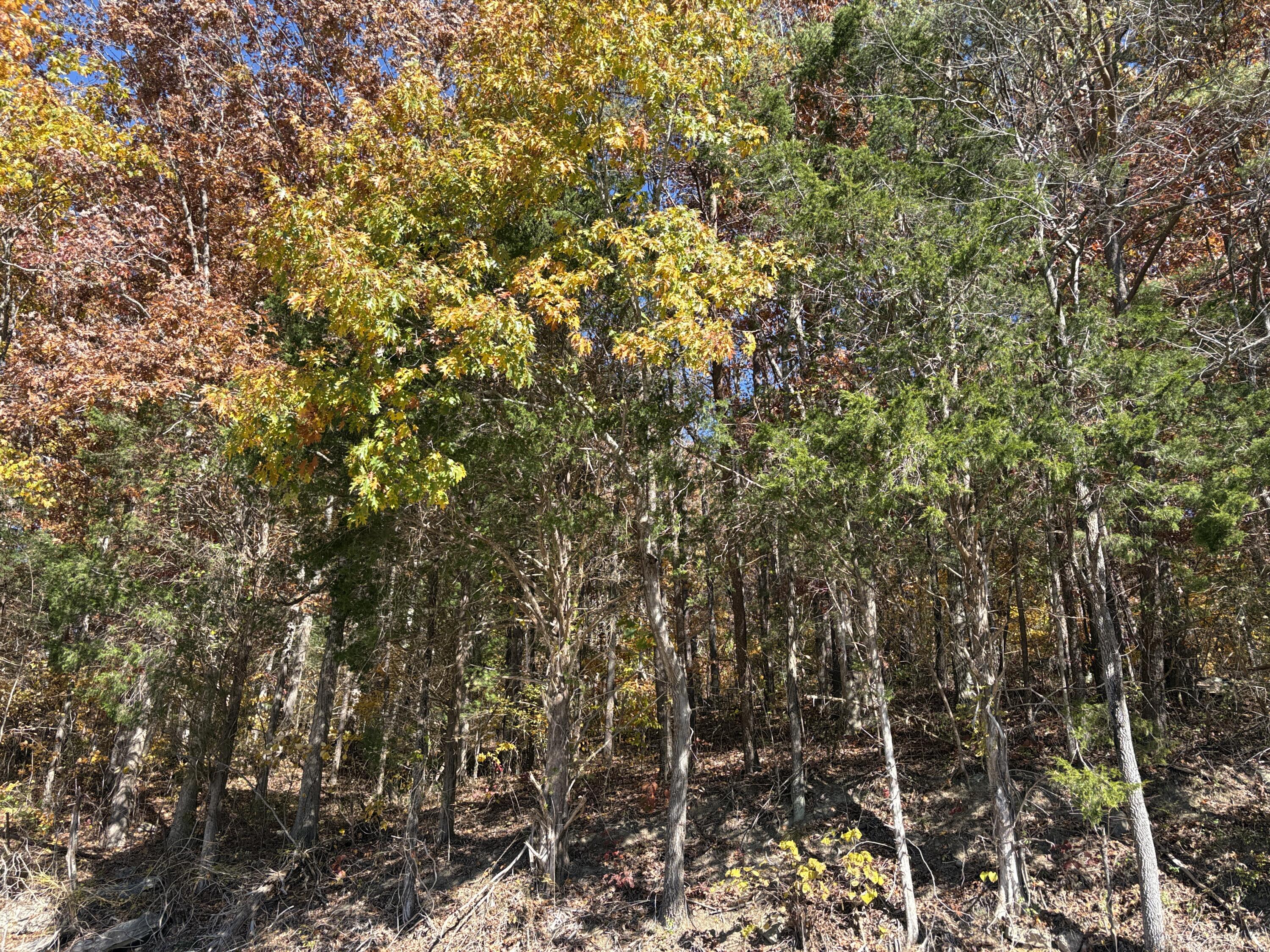3999 McKee Road Irvine, KY 40336 - Photo 47 of 52 IMG_8459