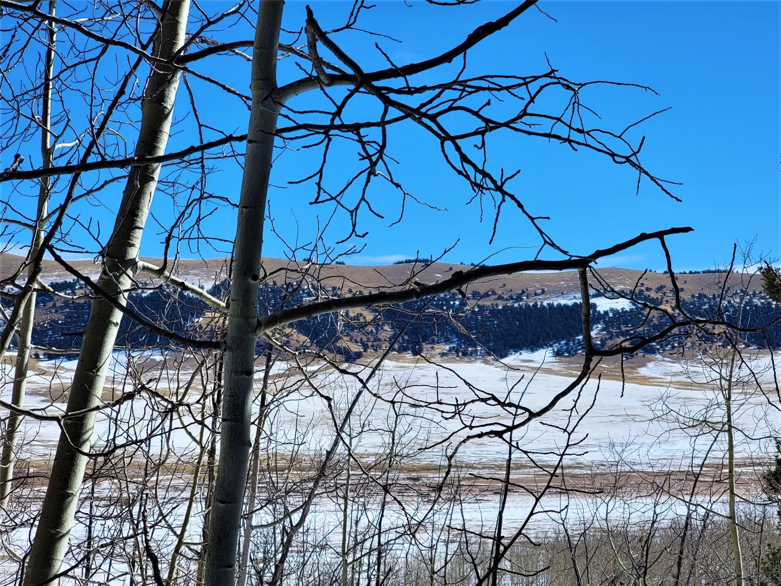 2292 Redhill Road Fairplay, CO 80440 - Photo 13 of 19 Gallery Image 13