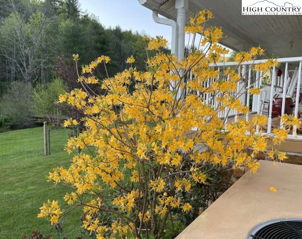 333 Mt Zion Road Deep Gap, NC 28618 - Photo 2 of 25 a view of a yard