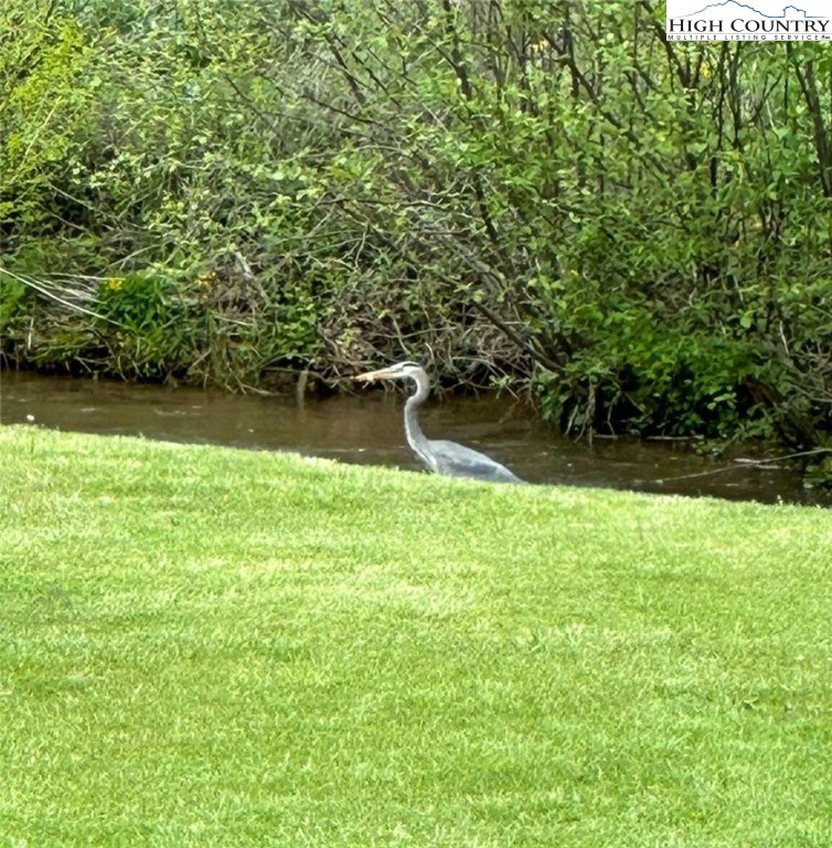333 Mt Zion Road Deep Gap, NC 28618 - Photo 5 of 25 a view of a lake from a yard