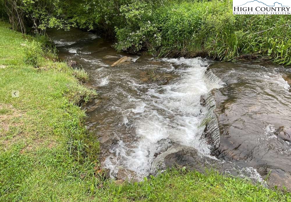 333 Mt Zion Road Deep Gap, NC 28618 - Photo 6 of 25 a view of a forest with trees in front of it