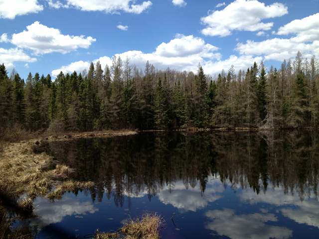38-acres Hilts Lake Road Rhinelander, WI 54501 - Photo 2 of 14 Gallery Image 2