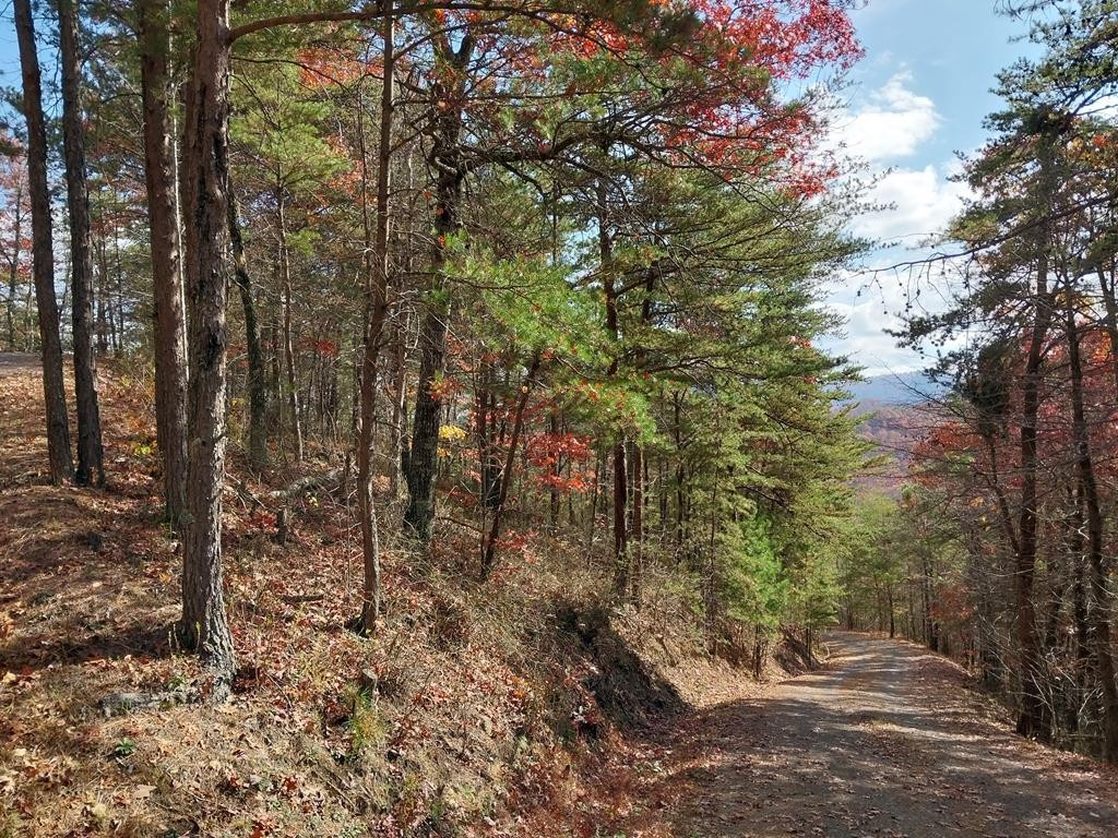 4 Happy Hollow Road Sevierville, TN 37862 - Photo 29 of 37 Gallery Image 29