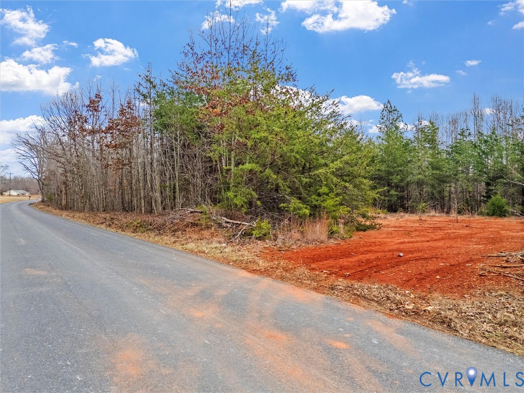 0 Hall Road Buckingham, VA 23921 - Photo 10 of 13
