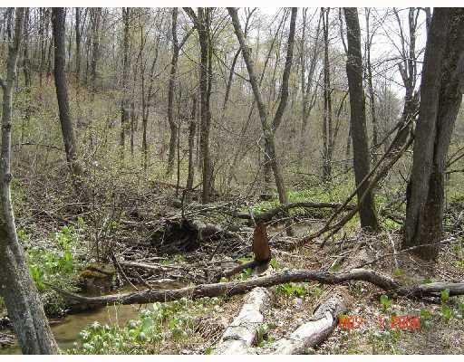 422 Us Rt Kittanning, PA 16201 - Photo 3 of 6 Land/Lot.