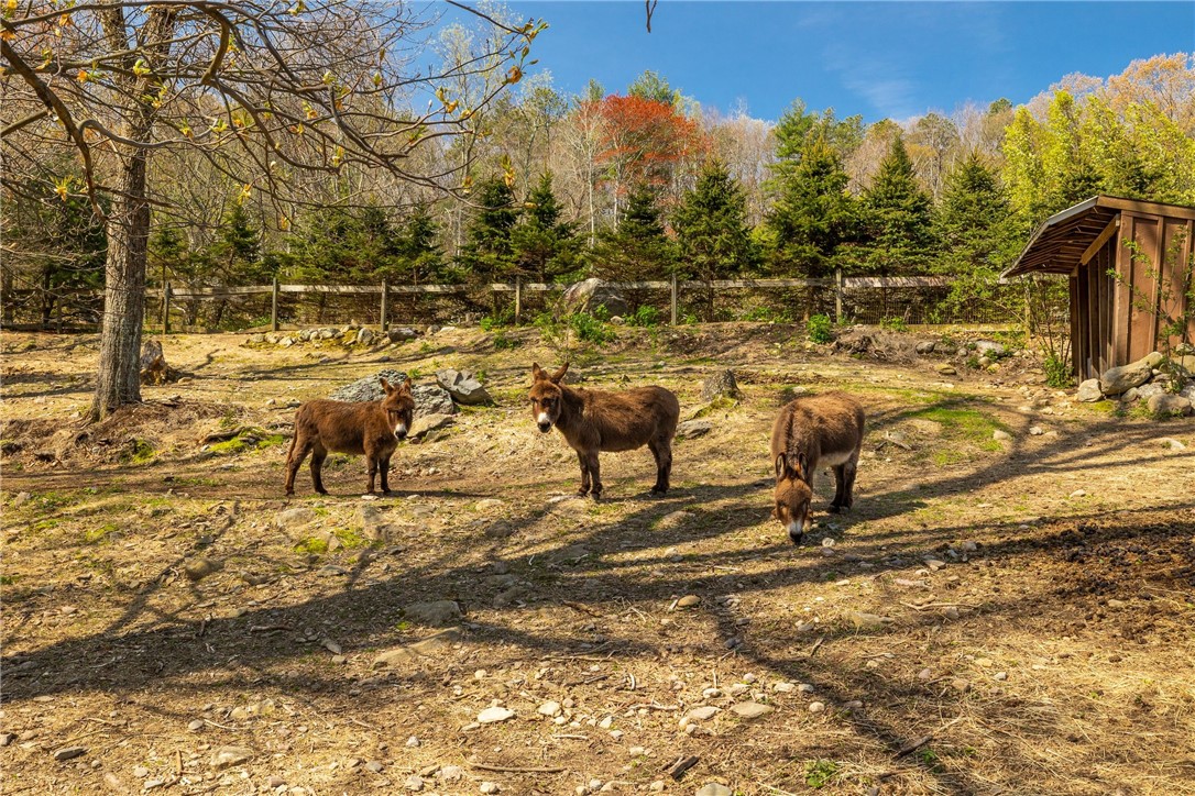 30 Burnt Swamp Road Cumberland, RI 02864 - Photo 30 of 38