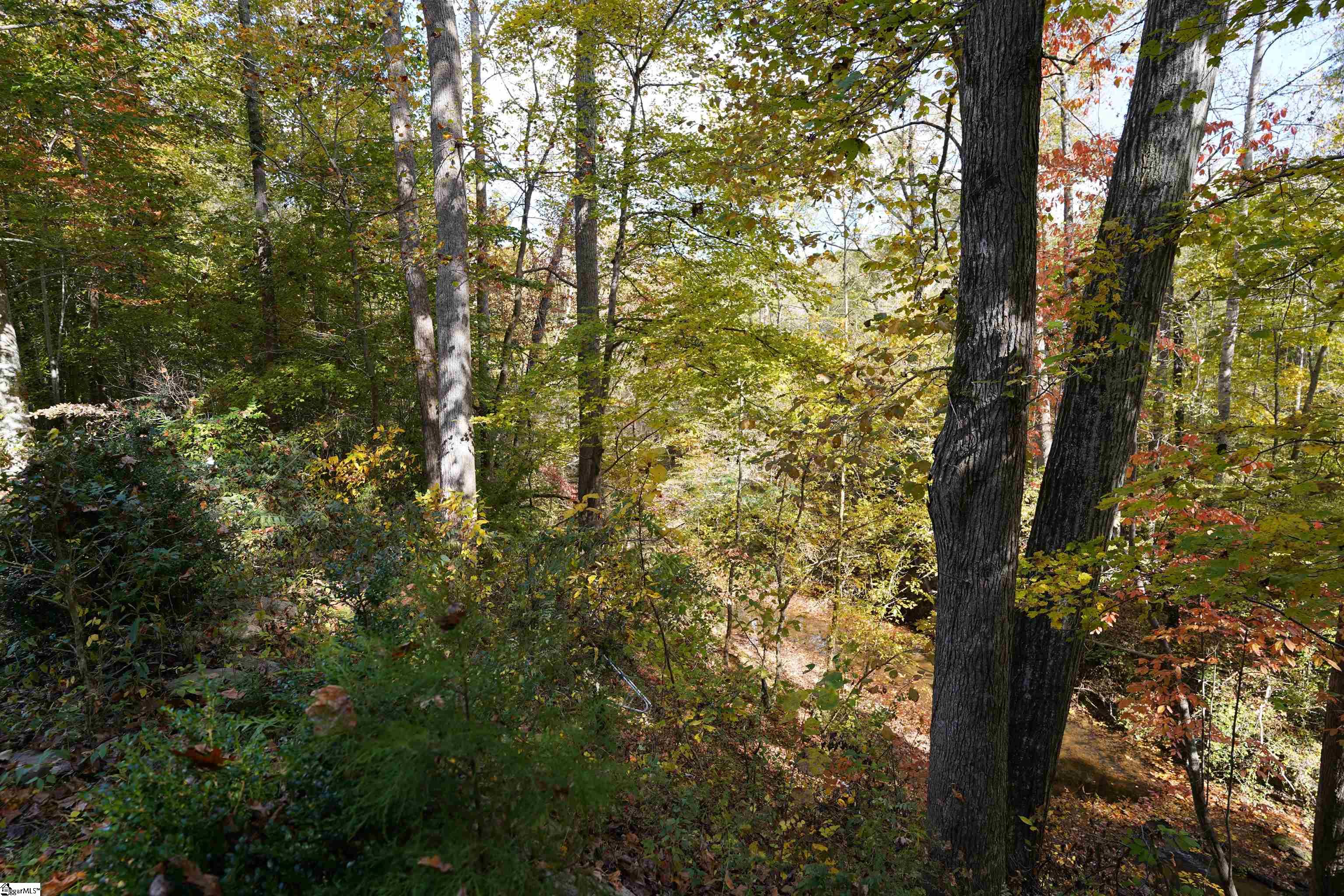 660 State Rd S-42-423 Enoree, SC 29335 - Photo 6 of 27
