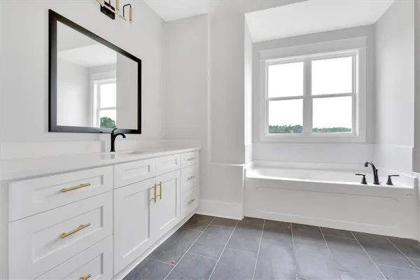 a bathroom with a double vanity sink a mirror and a bathtub