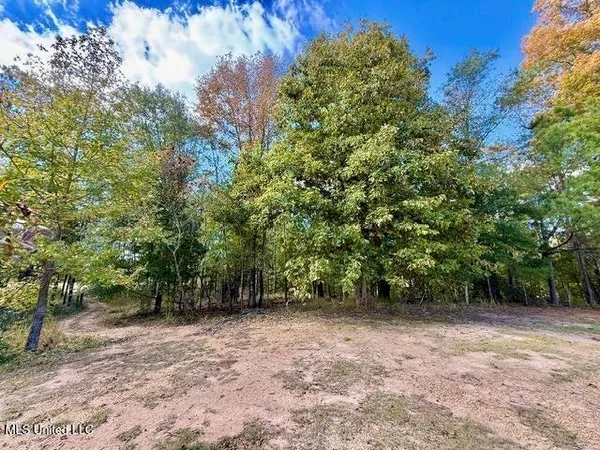 $35,000 | 0 Milltowne Drive, Wesson, MS 39191