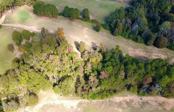 $35,000 | 0 Milltowne Drive, Wesson, MS 39191