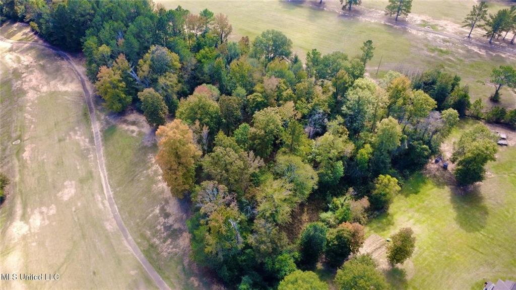 0 Milltowne Drive Wesson, MS 39191 - Photo 4 of 9