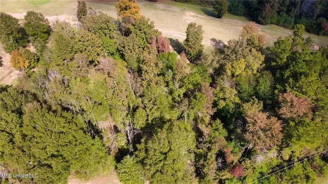 $35,000 | 0 Milltowne Drive, Wesson, MS 39191