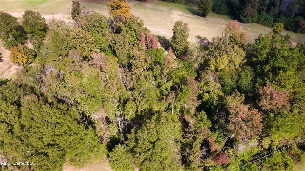 0 Milltowne Drive Wesson, MS 39191 - Photo 5 of 9