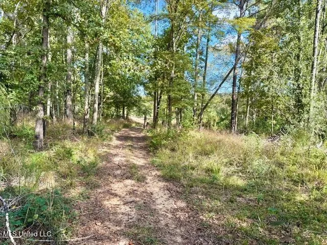 $35,000 | 0 Milltowne Drive, Wesson, MS 39191