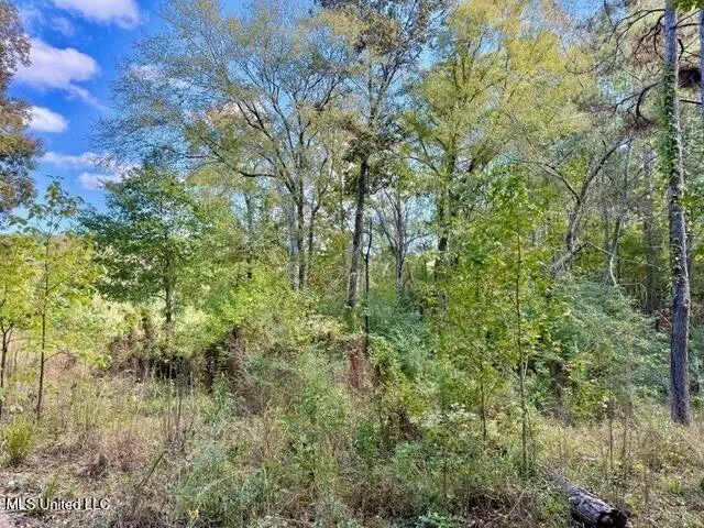 $35,000 | 0 Milltowne Drive, Wesson, MS 39191