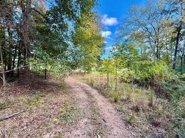 $35,000 | 0 Milltowne Drive, Wesson, MS 39191