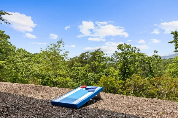 a view of a couches and table in the backyard