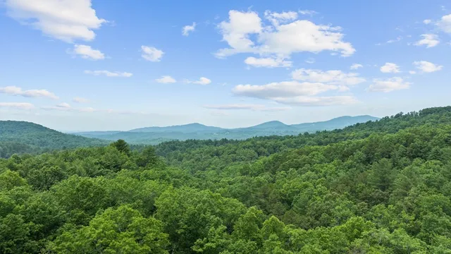 $2,050,000 | 351 Black Dog Trail, Morganton, GA 30560