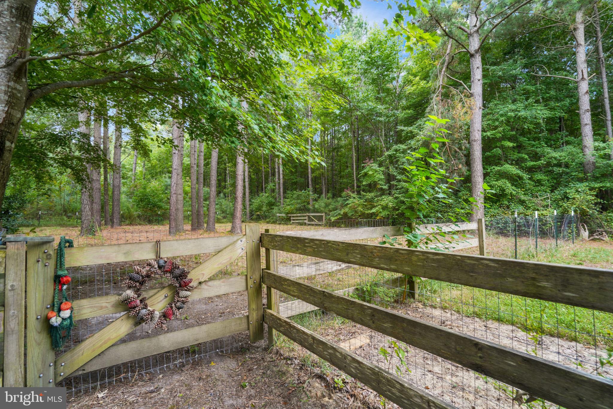 12564 Hacksneck Road Hacksneck, VA 23358 - Photo 50 of 65