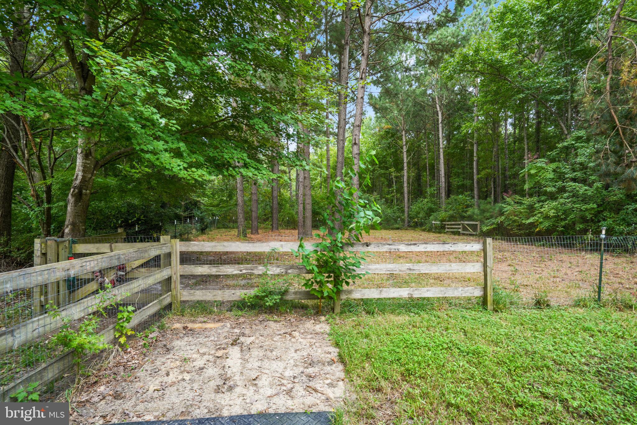 12564 Hacksneck Road Hacksneck, VA 23358 - Photo 52 of 65