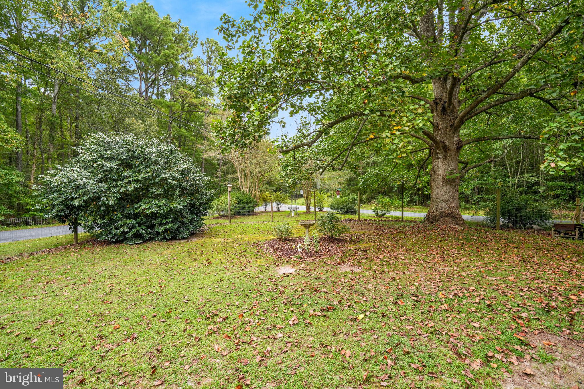 12564 Hacksneck Road Hacksneck, VA 23358 - Photo 8 of 65