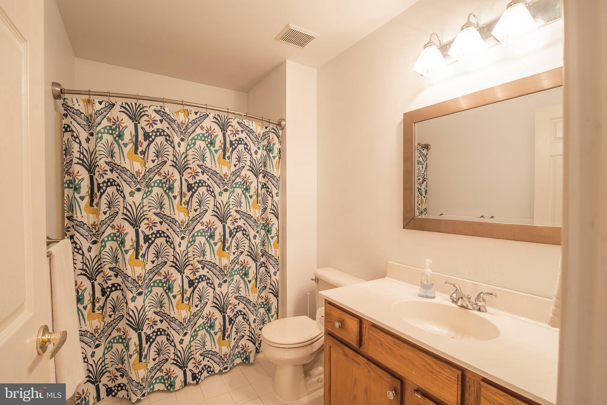 29 Clover Ridge Drive Mickleton, NJ 08056 - Photo 19 of 32 Upstairs Full bathroom