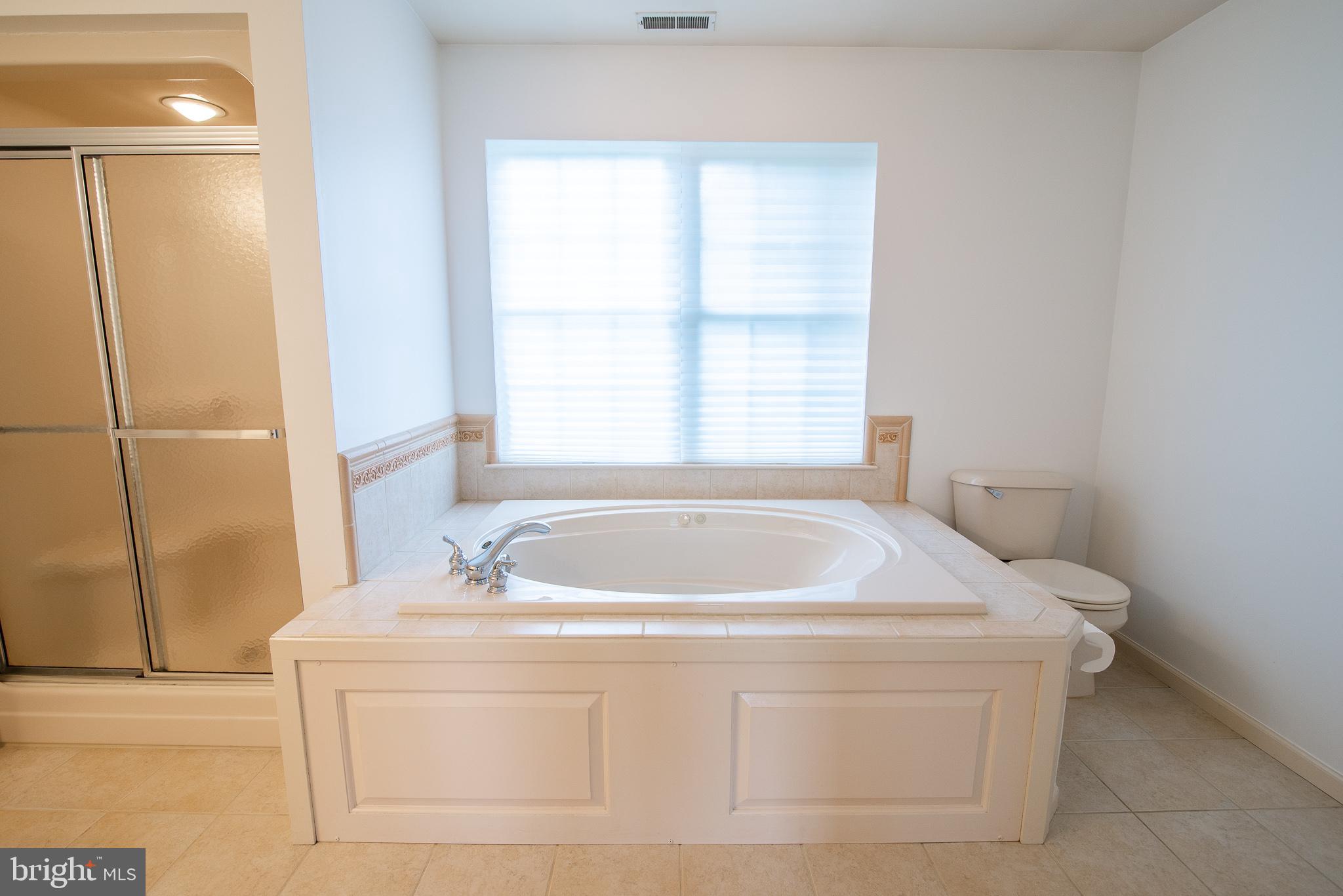29 Clover Ridge Drive Mickleton, NJ 08056 - Photo 25 of 32 Primary Bath Spa Tub